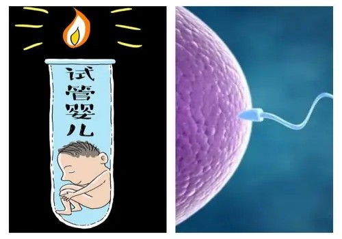 卵巢卵泡多是什么情况，卵巢内有太多卵泡也不是好事！
